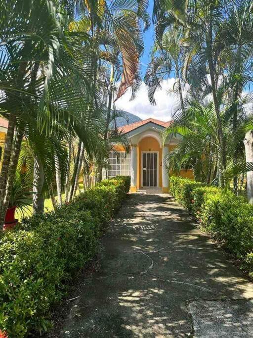 Villa De Ali In Palma Real La Ceiba Exterior foto